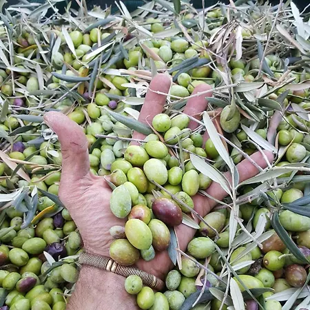 Acquarossabed Couette-café Belpasso