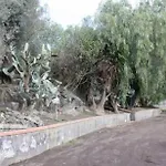Acquarossabed فندق مبيت وإفطار