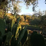Acquarossabed فندق مبيت وإفطار 3*