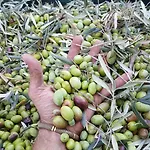 Acquarossabed فندق مبيت وإفطار بيلباسو