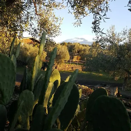 Acquarossabed 住宿加早餐酒店 3*