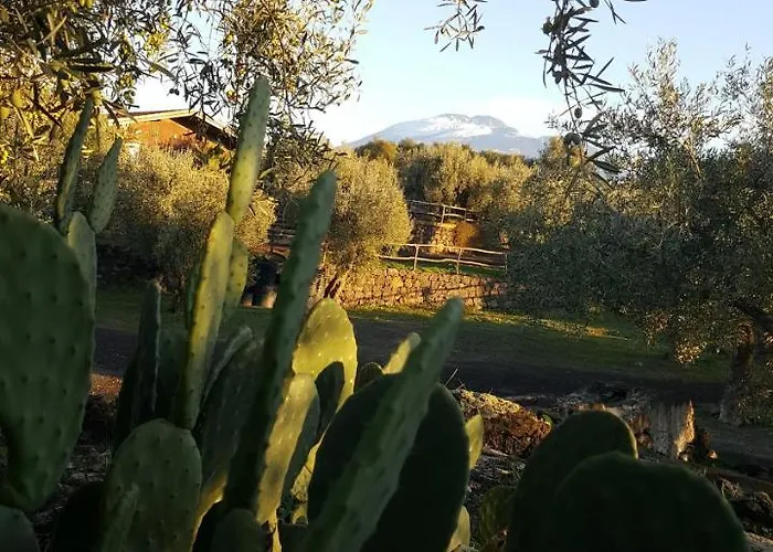 Acquarossabed לינה וארוחת בוקר 3*